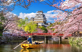 Flights to Japan
